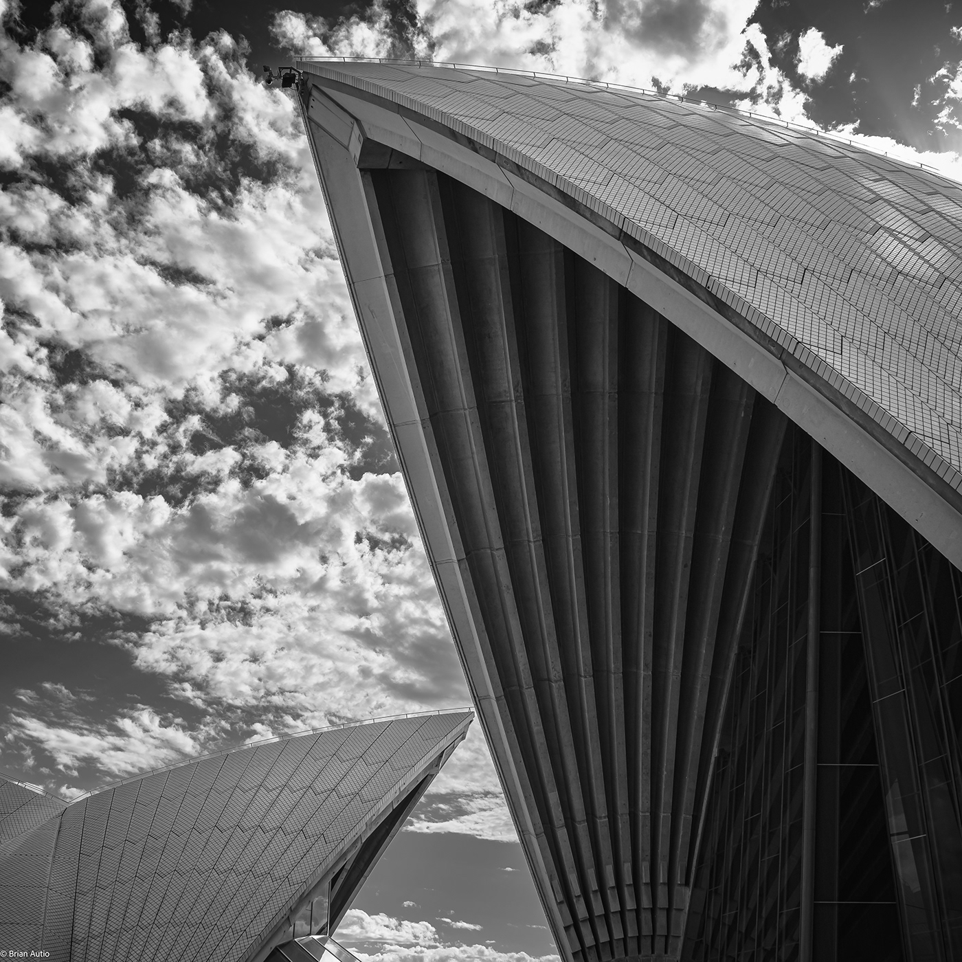 architecture Australia black and white lightroom monochrome Photography  Sydney Opera House Travel