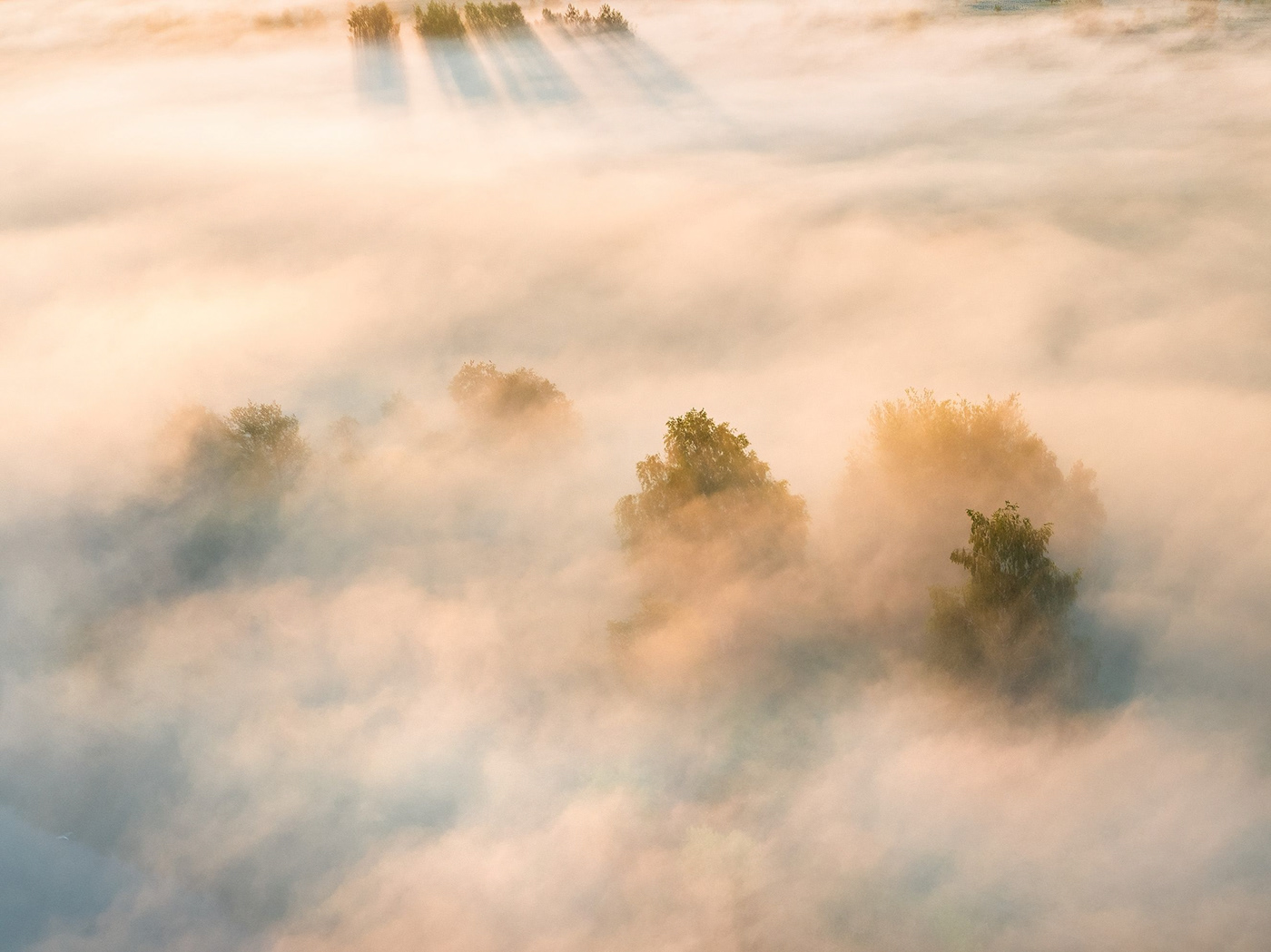 fog mist poland polska warta river Sunrise mgła poranek