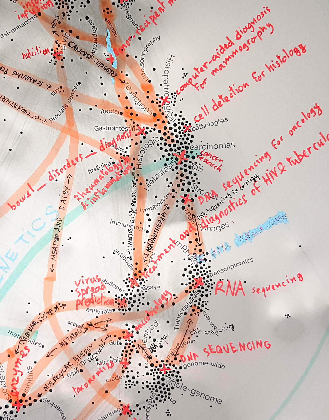 Algorithms dataviz gephi Layout network network map print science Technology