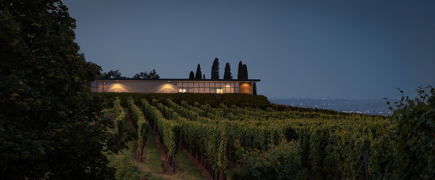 Vineyard and villa in the evening