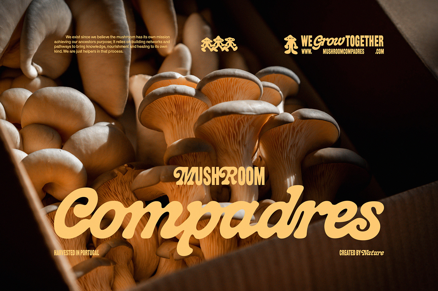 brand identity Branding design illustrations label design mushroom Poster Design typography   visual identity