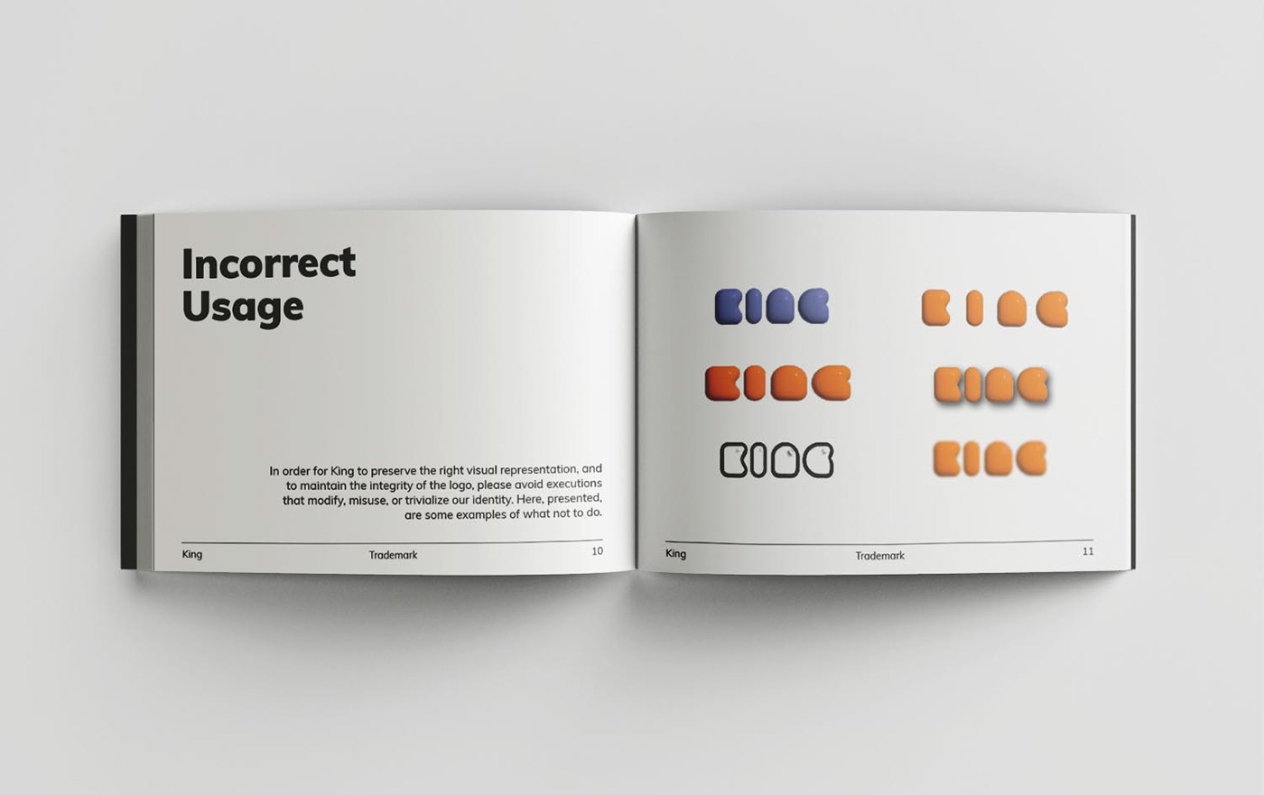 design book design brand identity branding  Branding design visual identity brand guidelines identity adobe illustrator logo