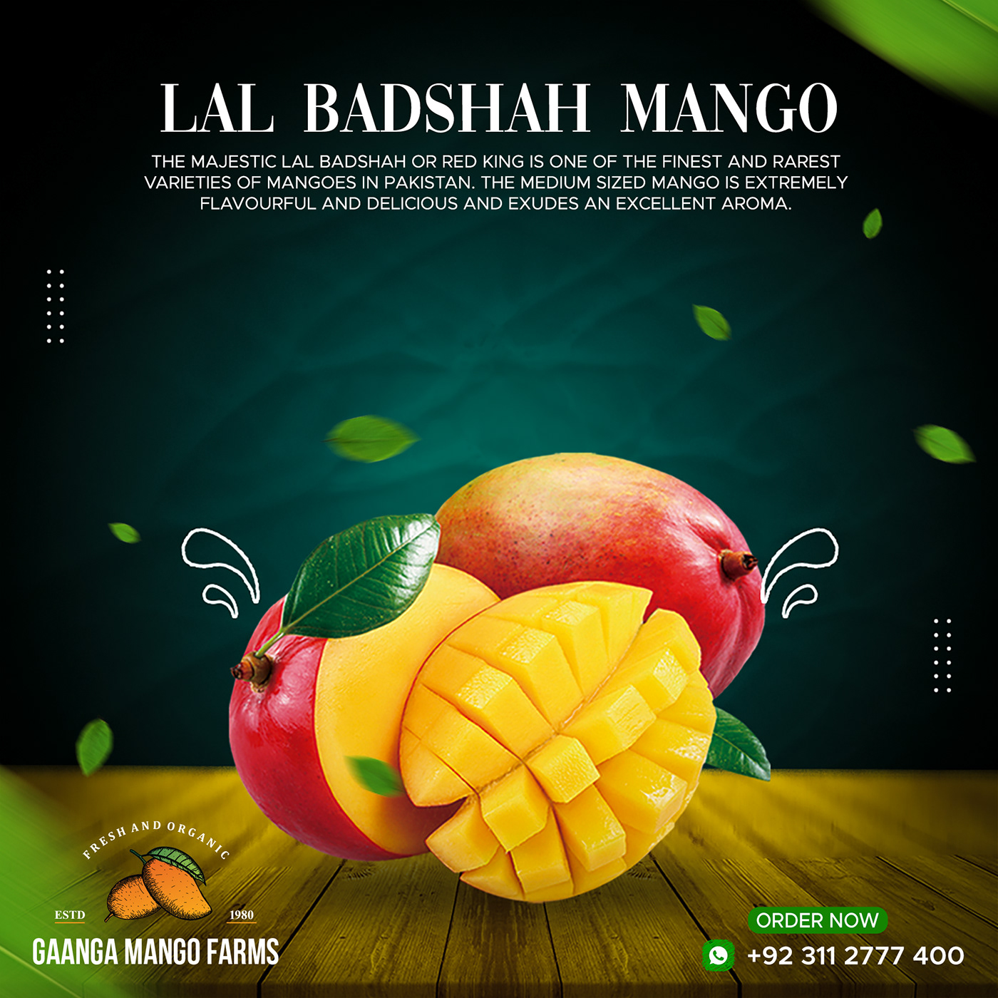 Mango garden Nature fruits fresh Social media post Graphic Designer