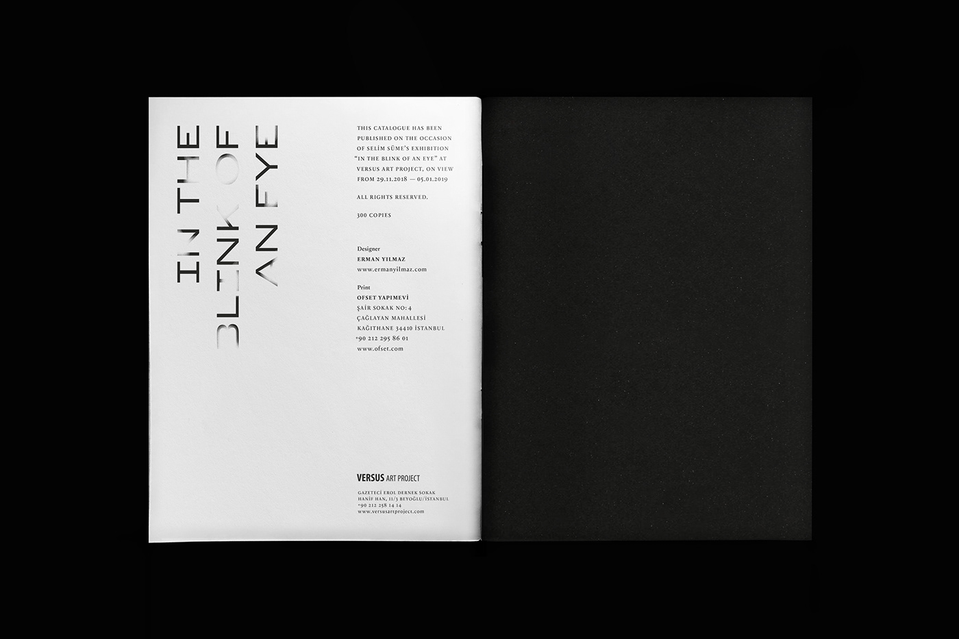 book design Catalogue cover editorial design  typography  