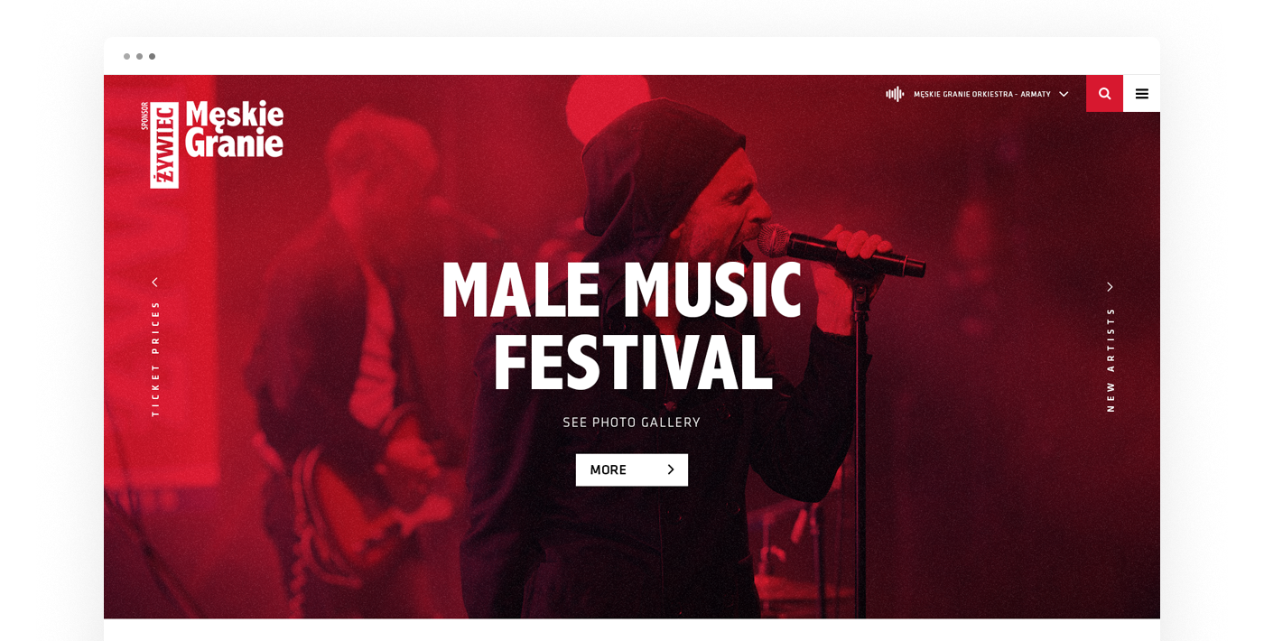 żywiec męskie granie festival Website mobile Webdesign interaction ux UI