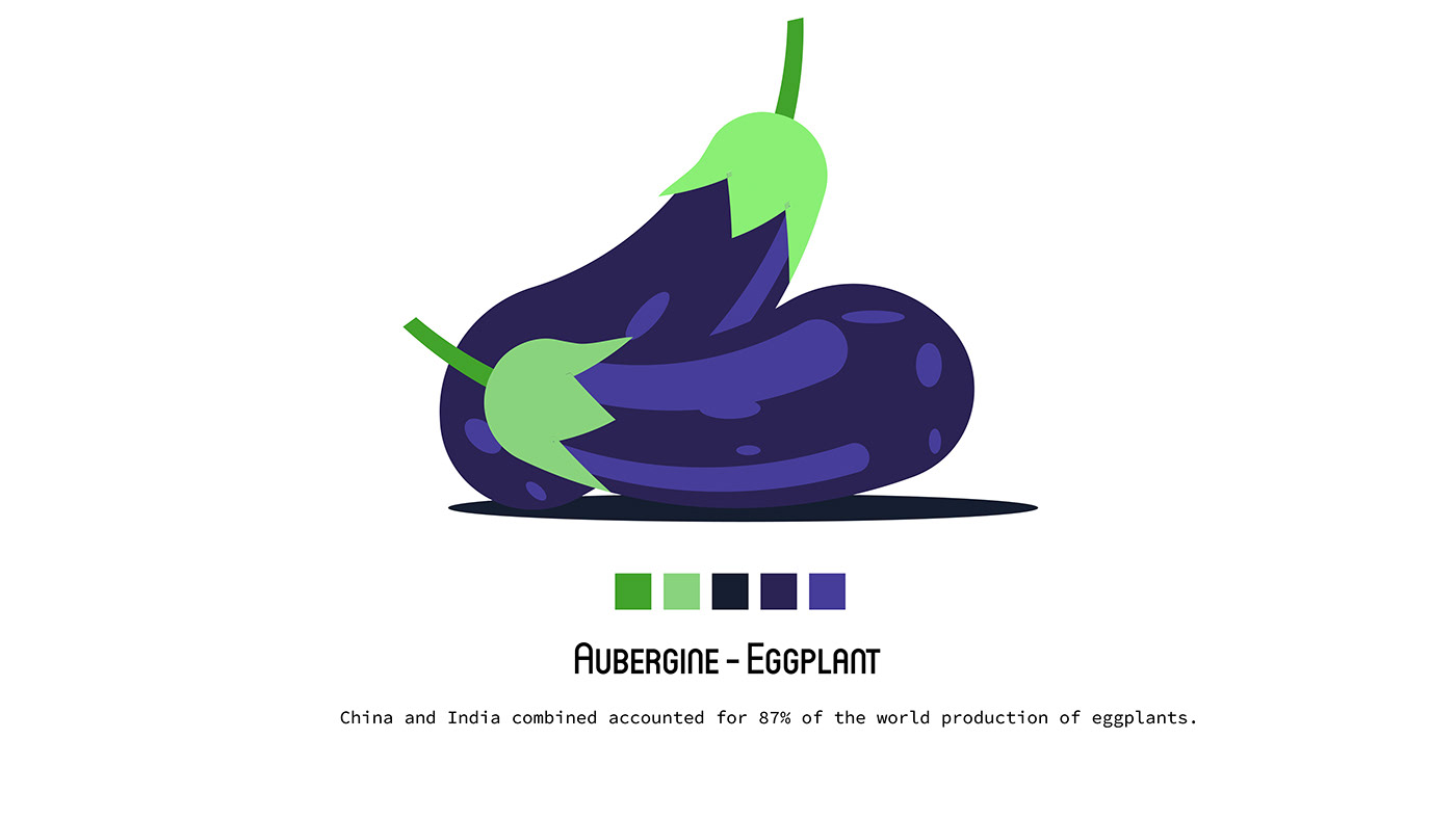 design eggplants flat Food  Fruit illustrating Illustrator