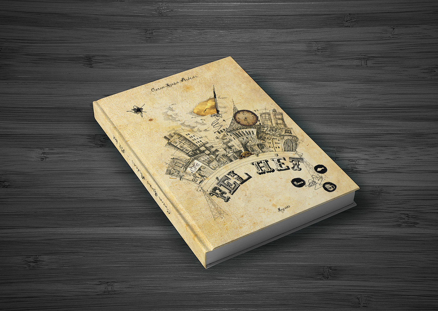 book book cover book design buildings Drawing  handmade ILLUSTRATION  typography  