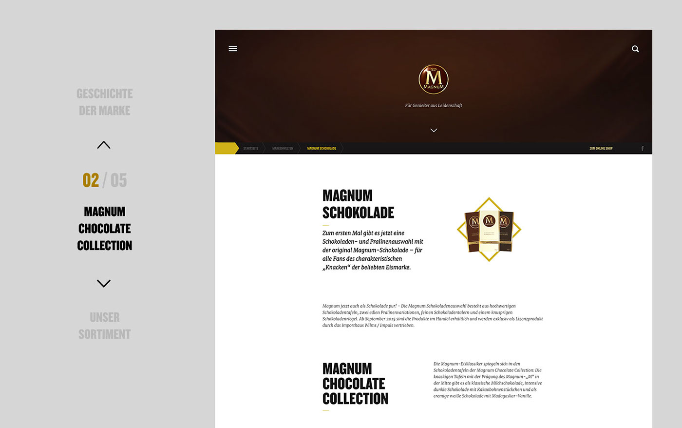 Interface ILLUSTRATION  Food  Platform art direction  Website hand drawing design Responsive brand