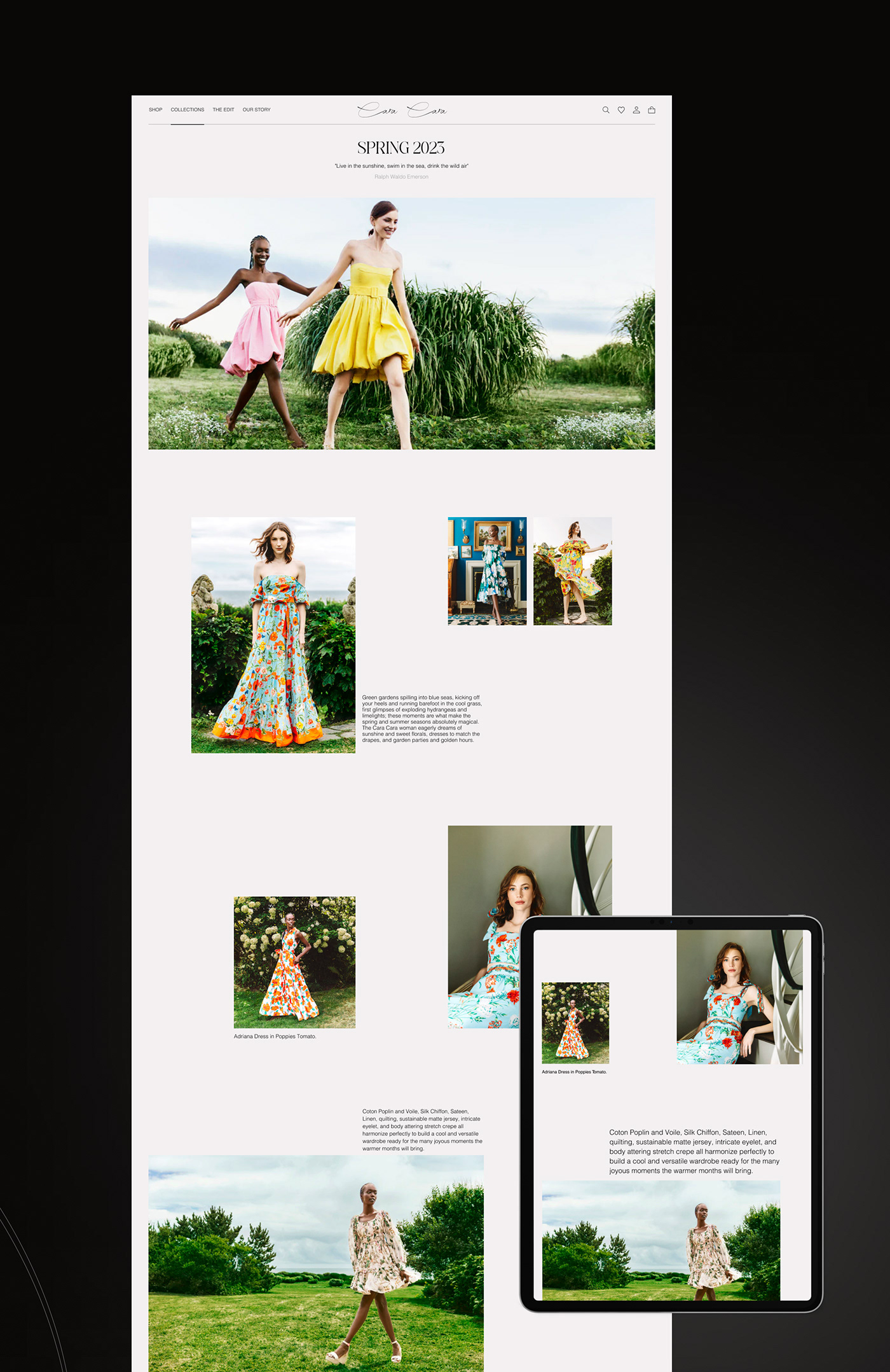 boutique Ecommerce ecommerce website Fashion  store store design UX UI Web Design  Website