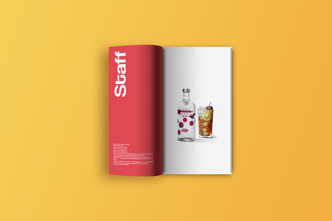magazine revista maquetación Diseño editorial