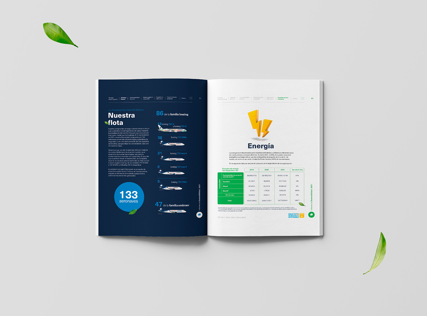 airline book design design Digital Report Diseño editorial editorial Layout libro report Sustainability