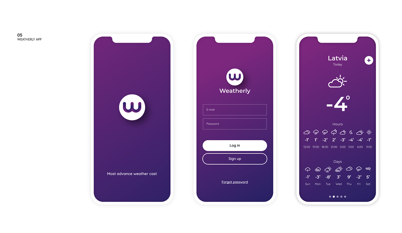 user interface Web Design  branding  identity Website application