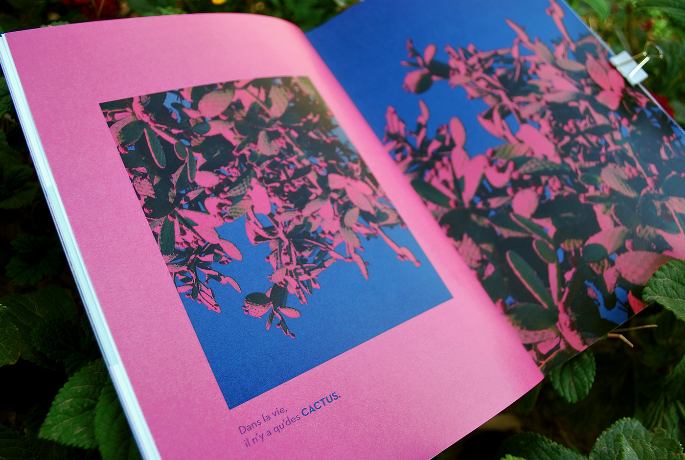 malta edition editorial book fanzine graphic design  art direction  Photography  design
