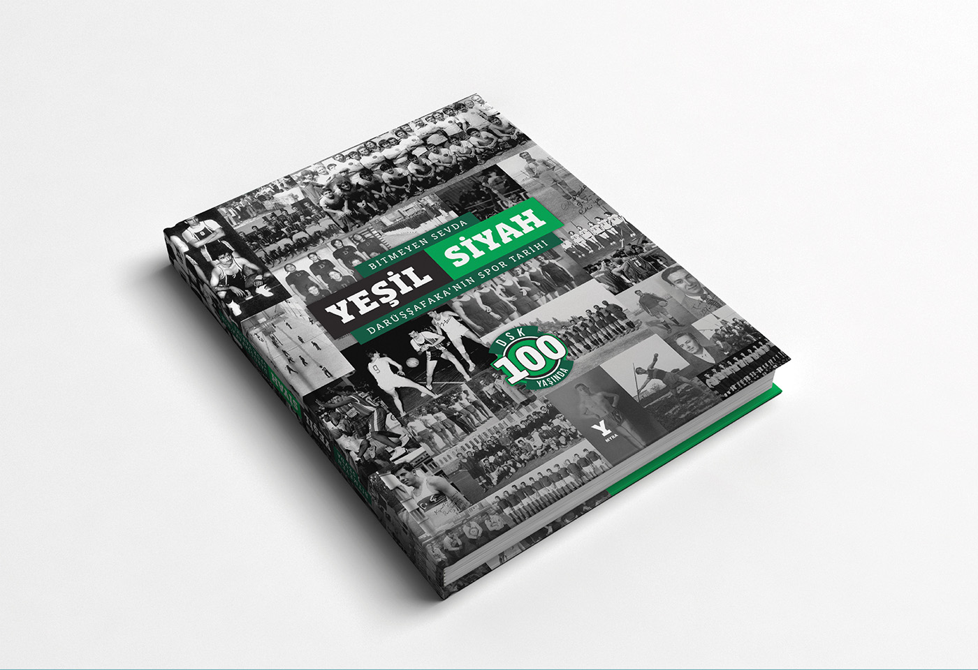 sport book basketball splash football almanac ANNUAL green history valleyball