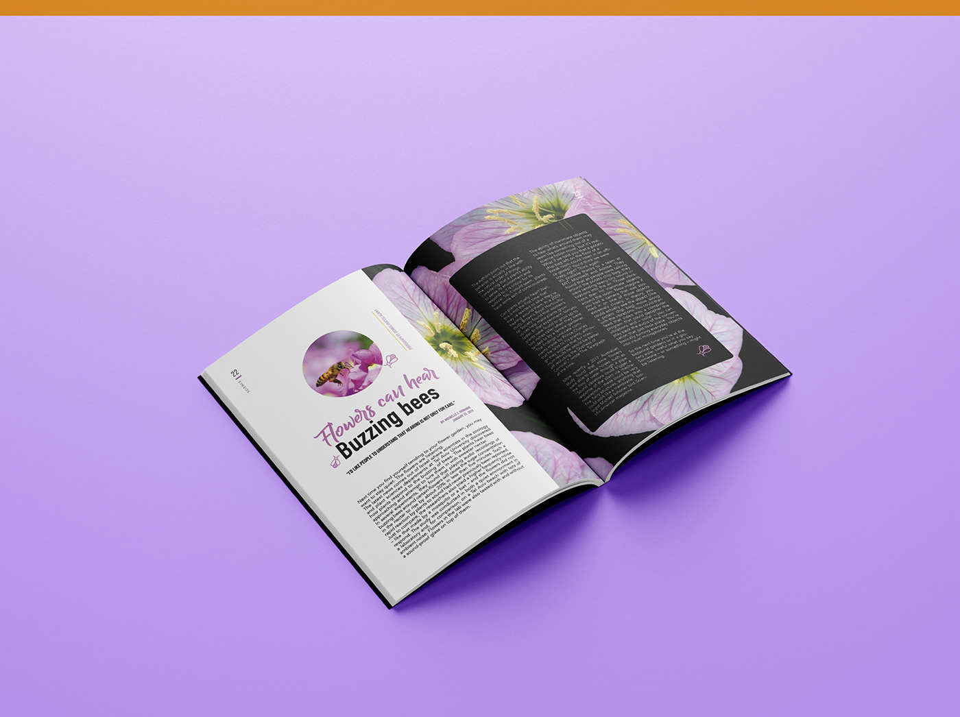 digital Diseño editorial editorial design  magazine revista