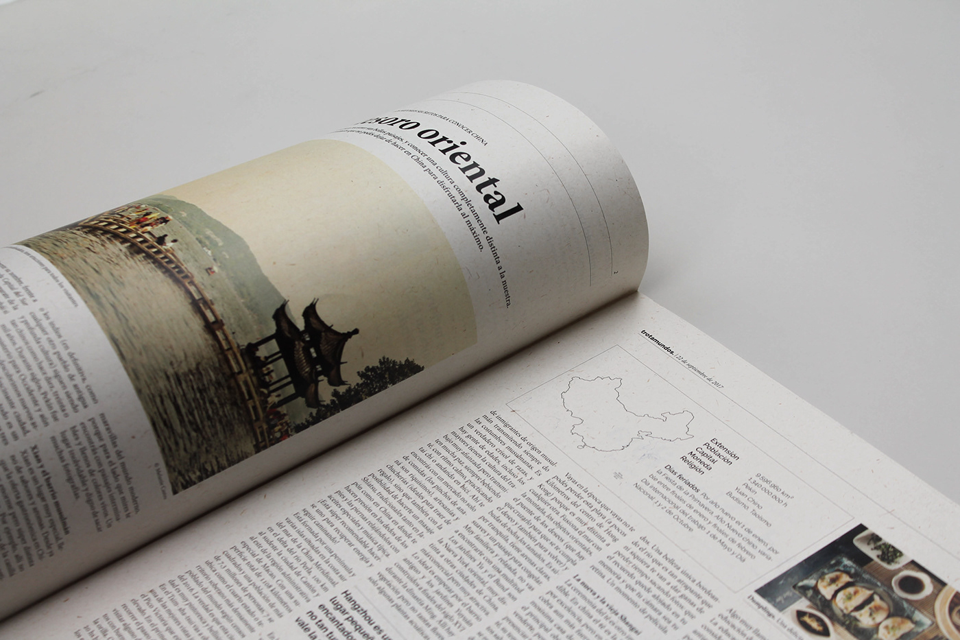 fadu newspaper editorial cosgaya periodico Zeitung grid diseño gráfico typography   Travel