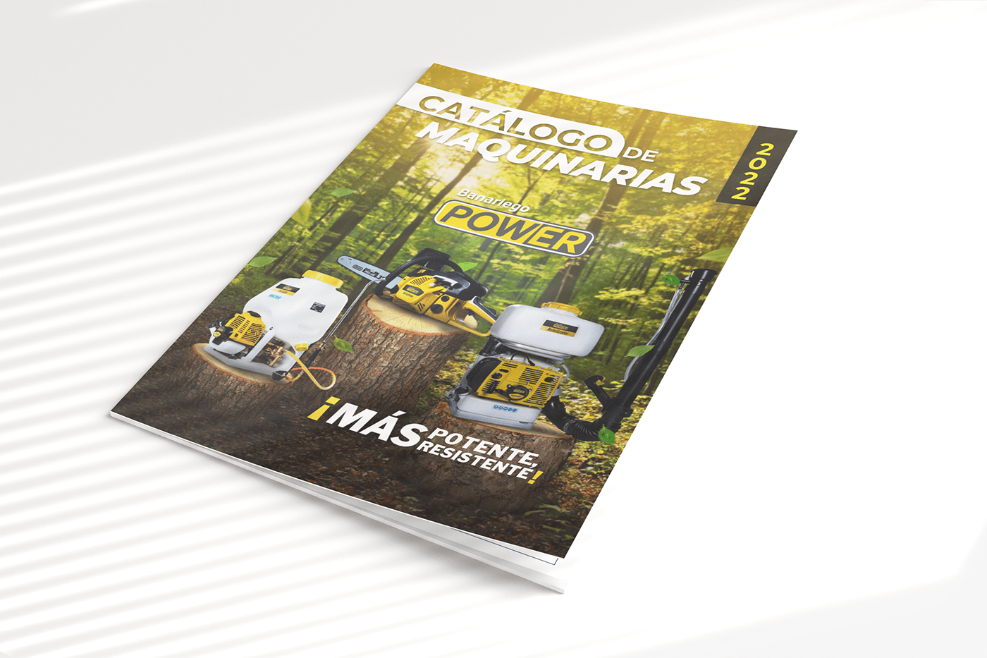 brochure catalog catalogo diagramación diseño Diseño editorial diseño gráfico folleto publicidad revista