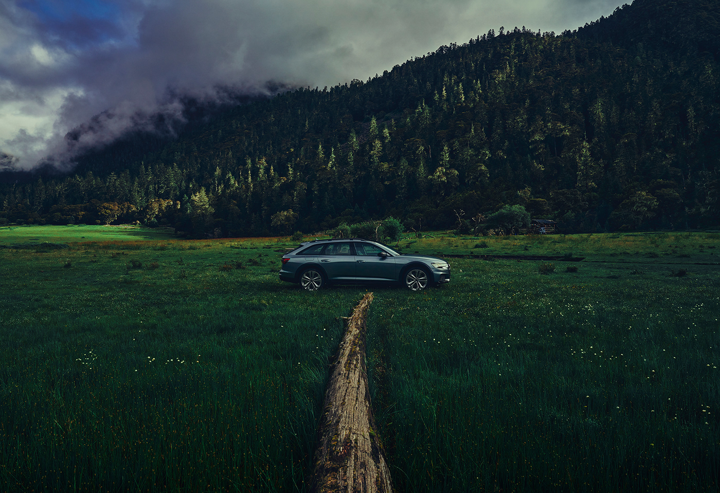 a6 a6allroad Audi automotive   BillyWu car green Nature Photography  quattro