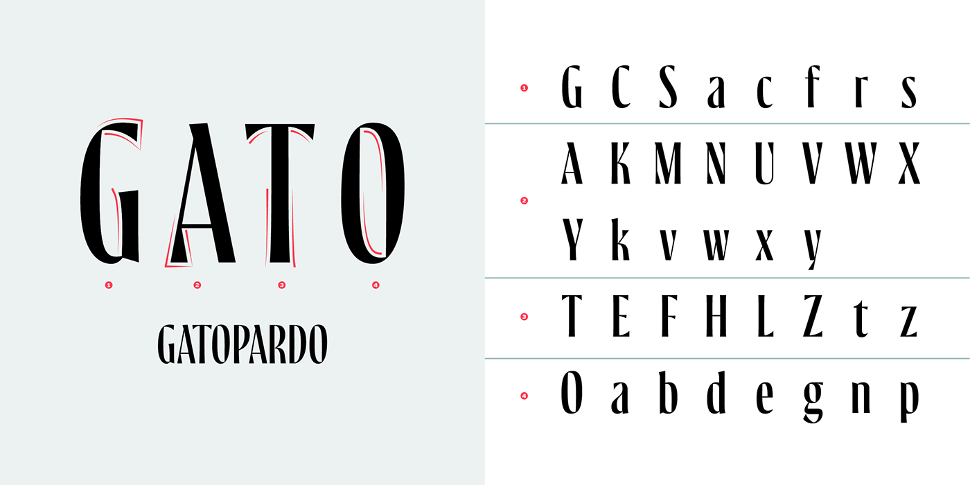 branding  custom font editorial font magazines mexico publishing   type typedesign typography  