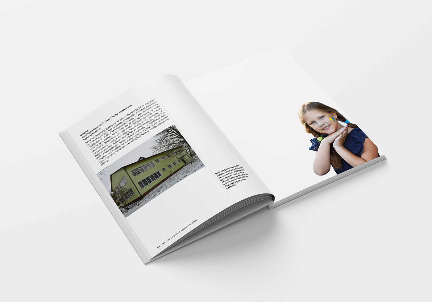 annual report book brochure cover design editorial editorial design  Layout magazine report report design