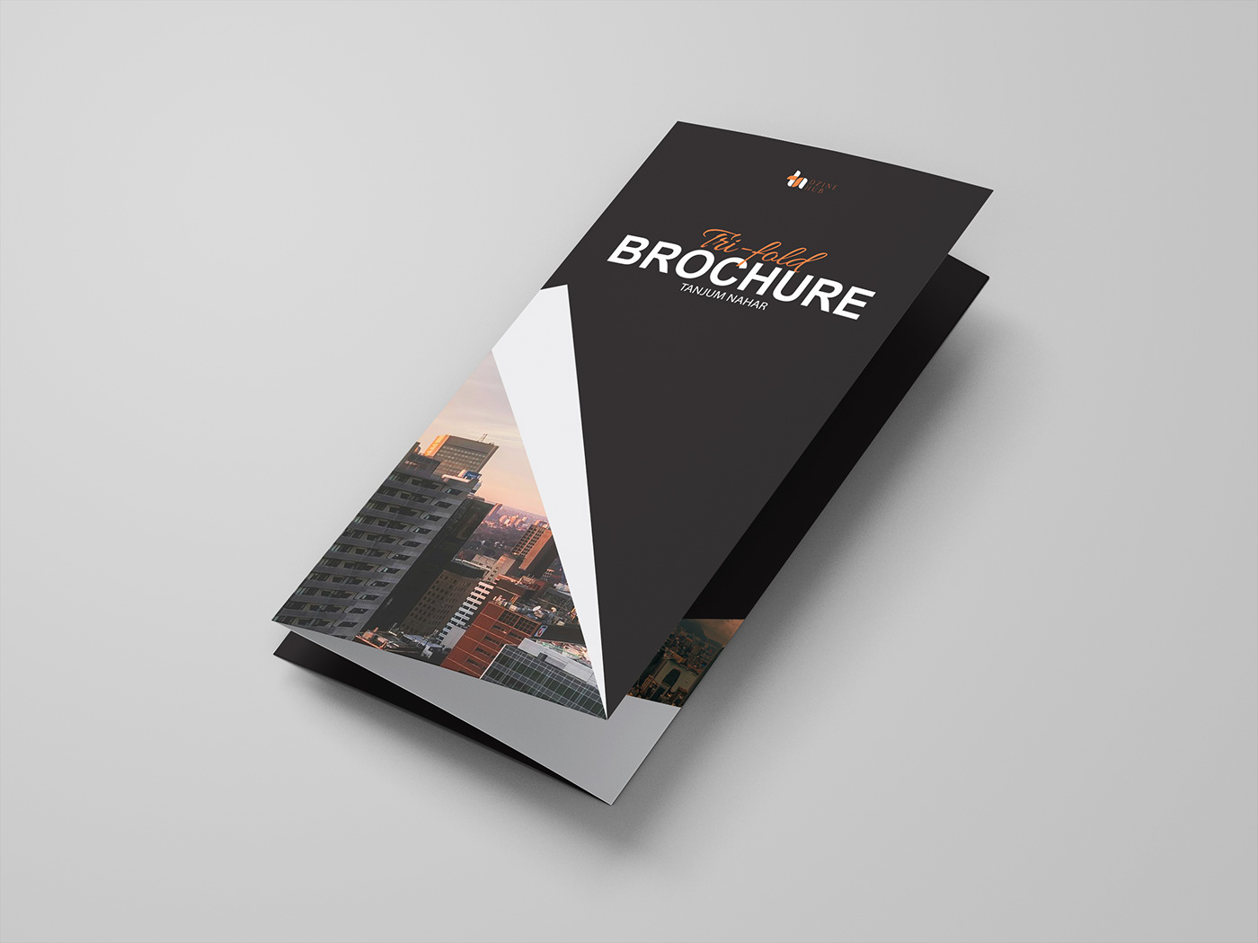 trifold brochure flyer Advertising  marketing   brand identity Stationery Booklet print Graphic Designer