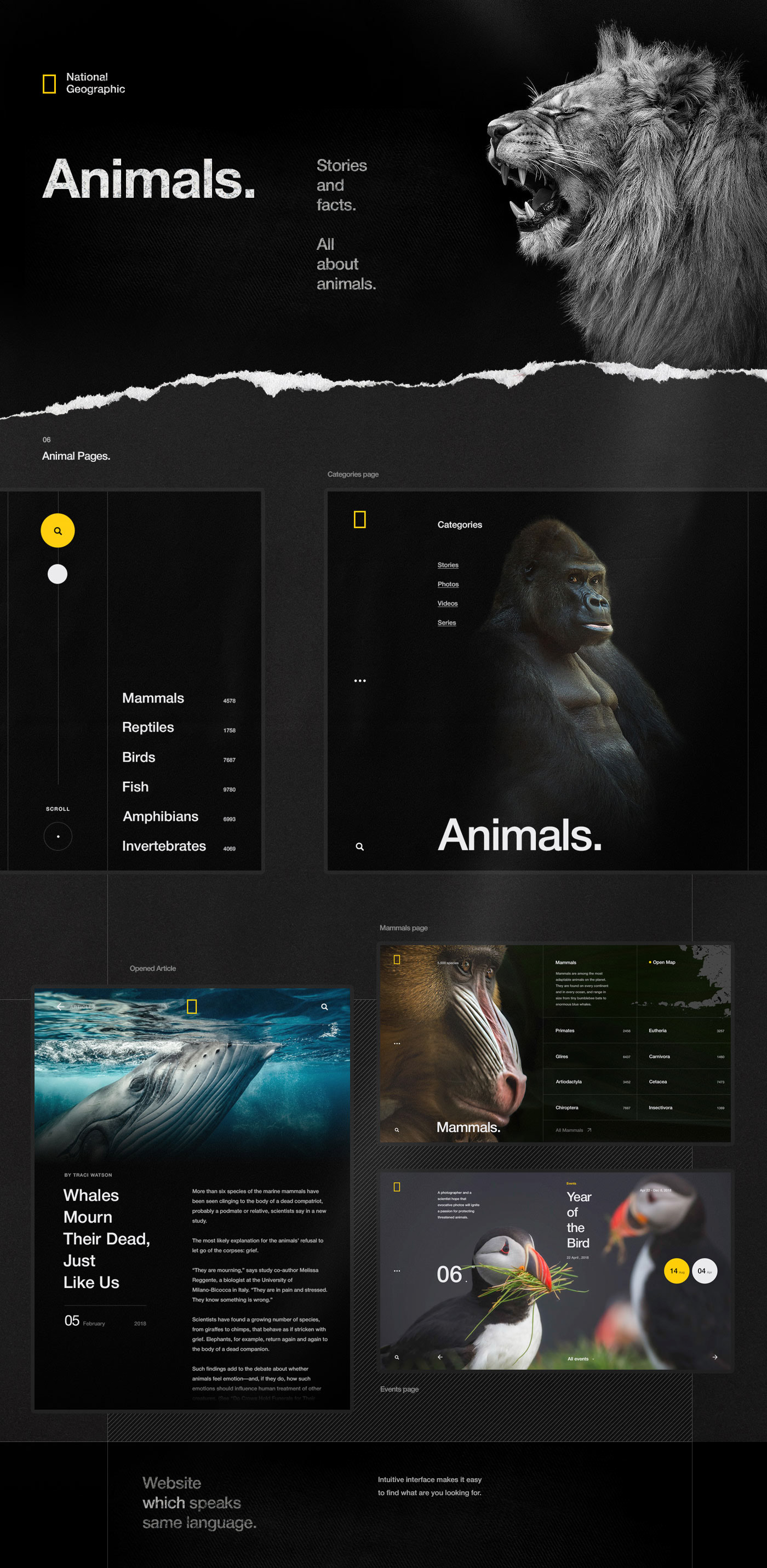UI ux Web clean animation  animals Nature science Space  interactive