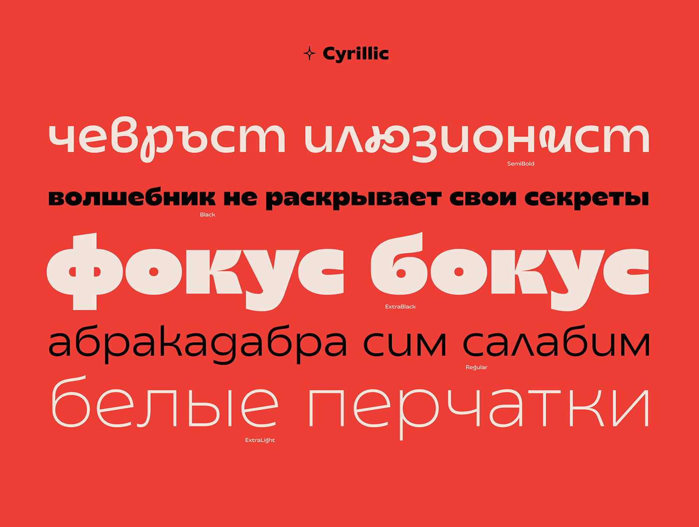 typography   font fonts free sans serif Script Typeface branding  Free font Display