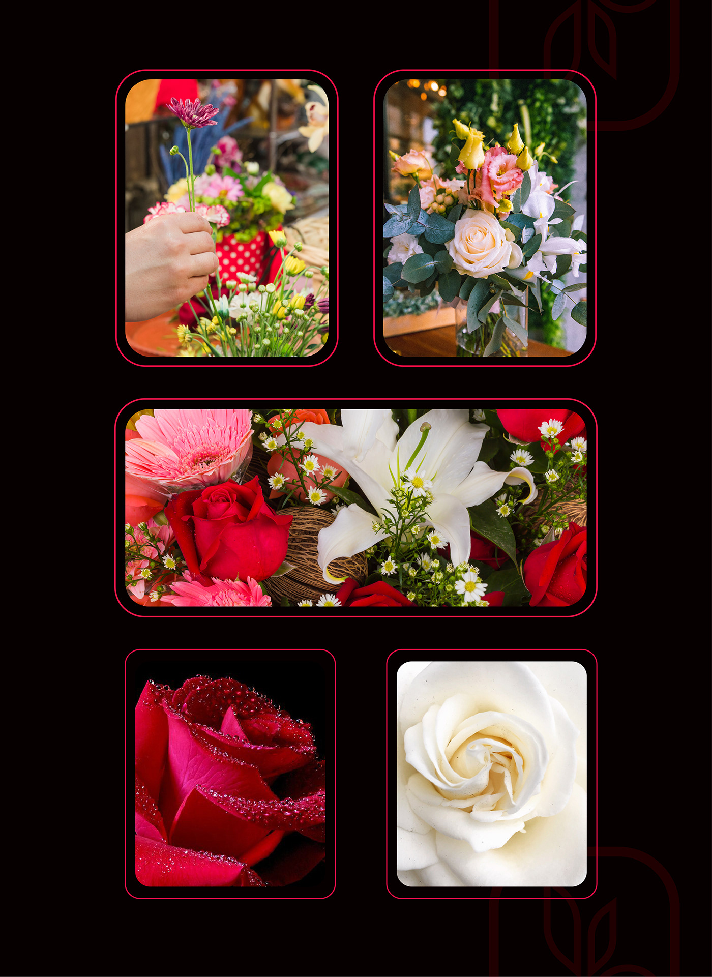  flower and rose , flower logo, floral, Flower Shop 
