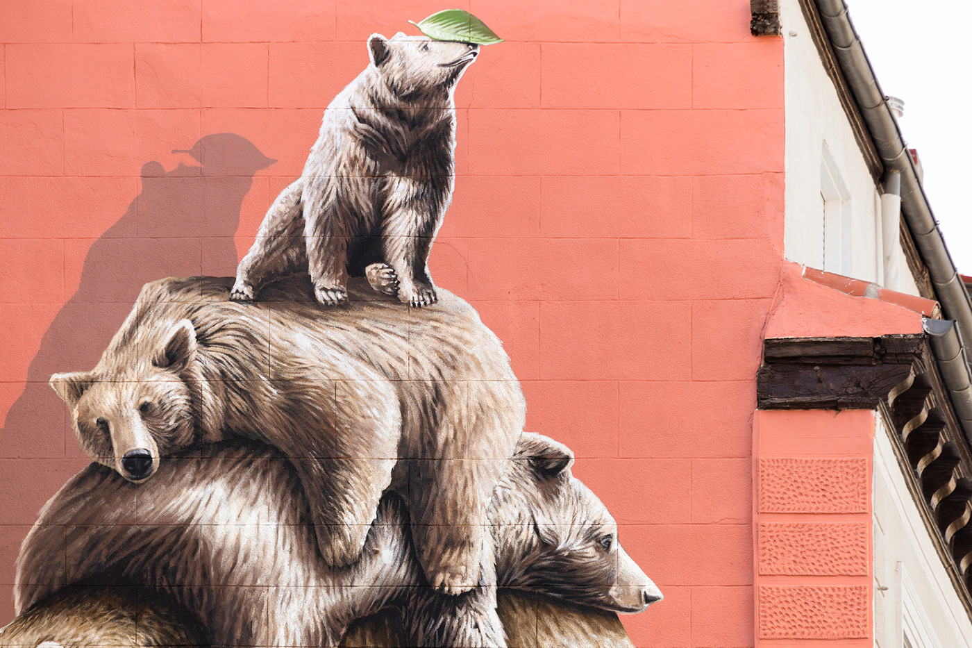 bear bears leaf madrid spain streetart