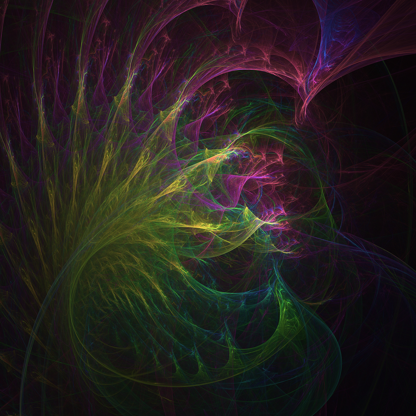 fractal chaos random mandelbrot chaotica maths simulations annihilation