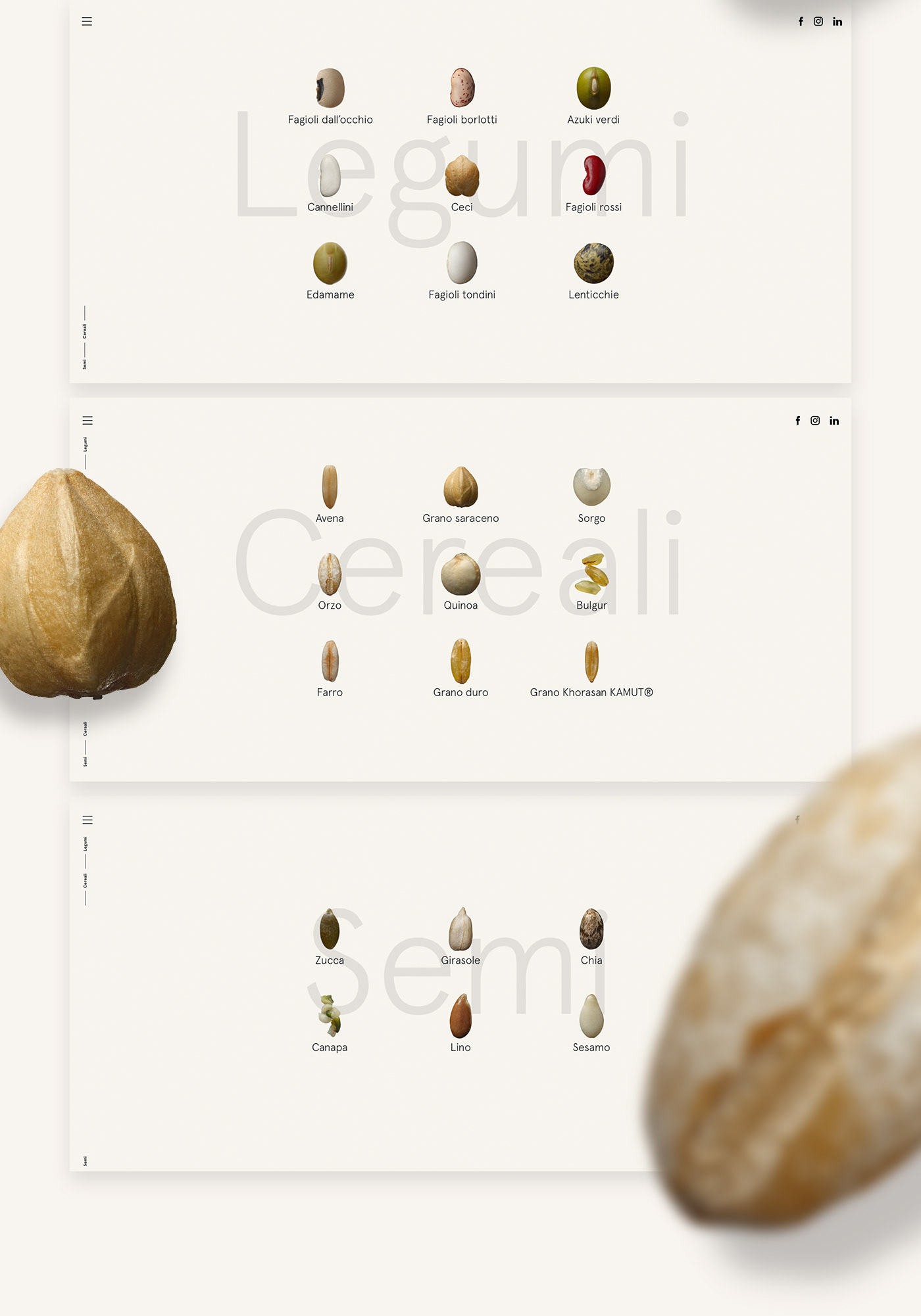 branding  Website Webdesign identity Cereals legumes Food  healthy art direction  graphic design 