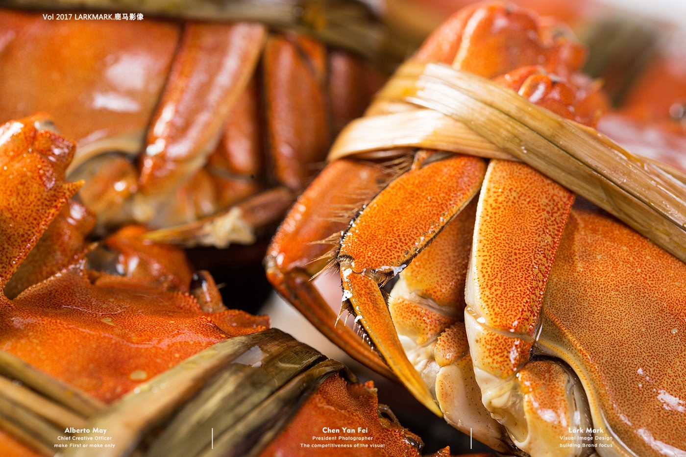Food  cook Photography  crab 大闸蟹 美食摄影 美食 food photography