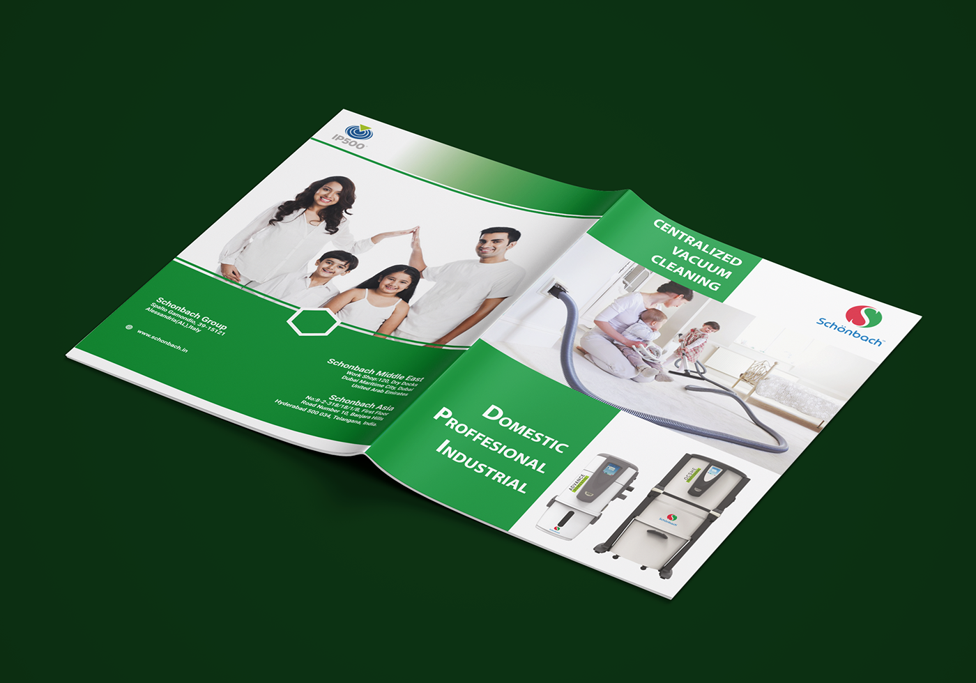 brochure catalog flyer poster graphic design  print design  ads social media business Creative Design