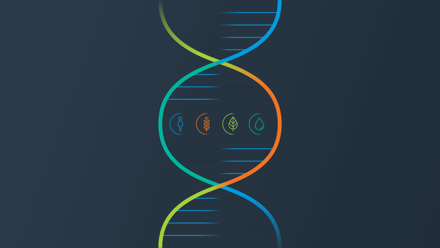 branding  génome québec génomique genomic graphic design  annual report