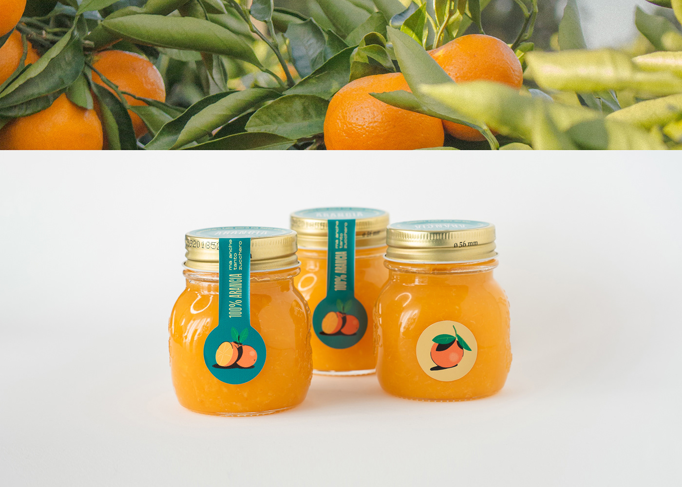 Fruit ILLUSTRATION  jam jar Nature orange Packaging graphic design  Label marmalade