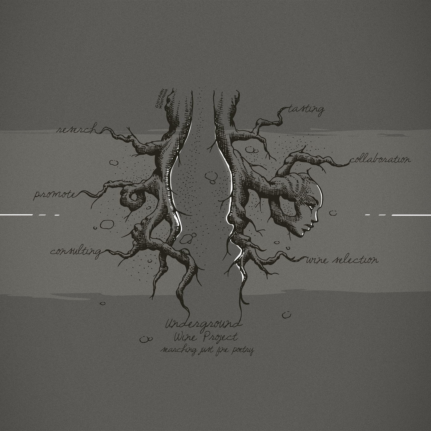 Graphic Designer ILLUSTRATION  brand wine root brown field Nature logo