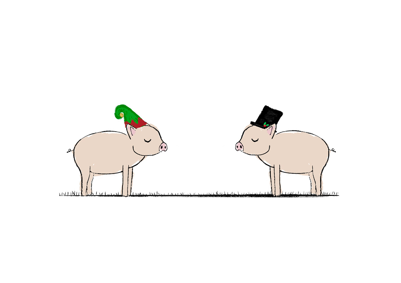 animal art Christmas Card design ILLUSTRATION  Procreate