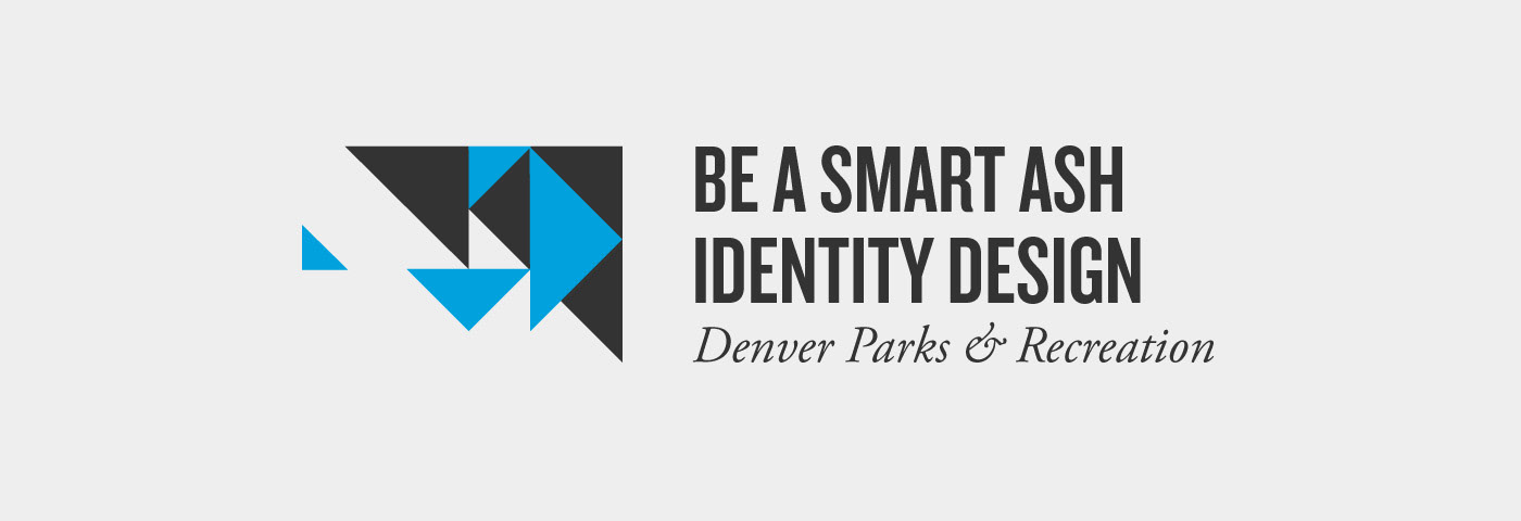branding  Identity Design graphic design  Logo Design logo Government