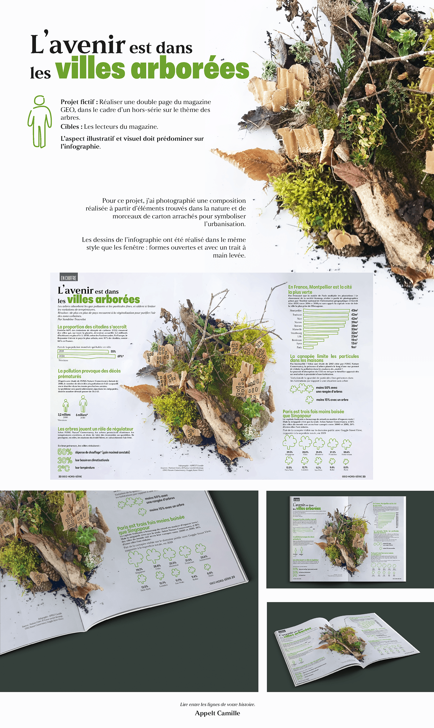 infographic infographic design data visualization Photography  Nature Layout InDesign photoshop Graphic Designer adobe illustrator