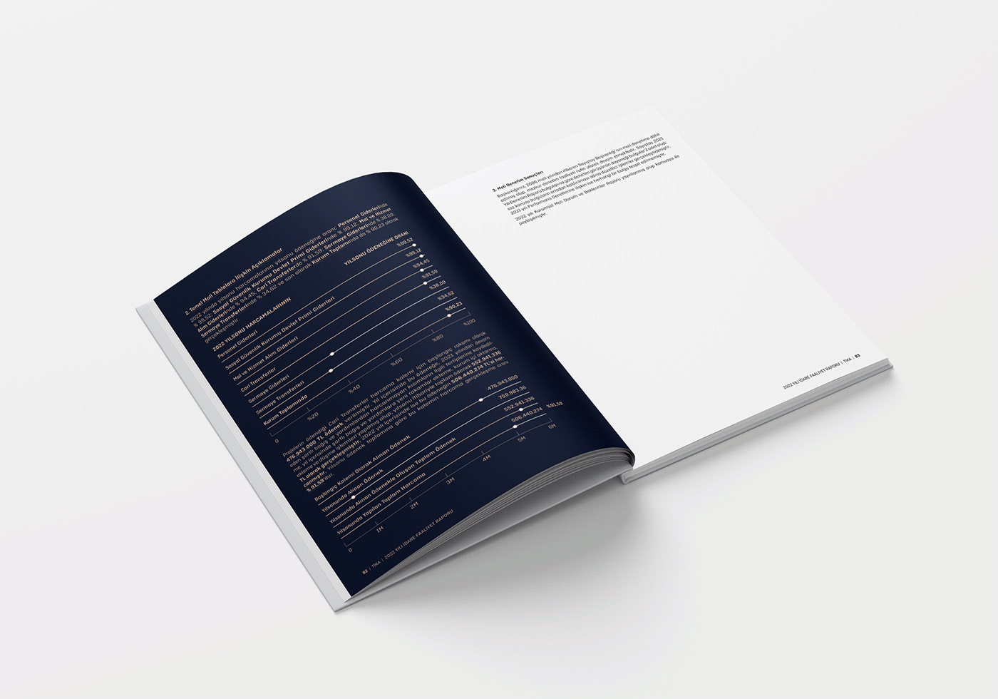 annual report book brochure cover design editorial editorial design  Layout magazine report report design