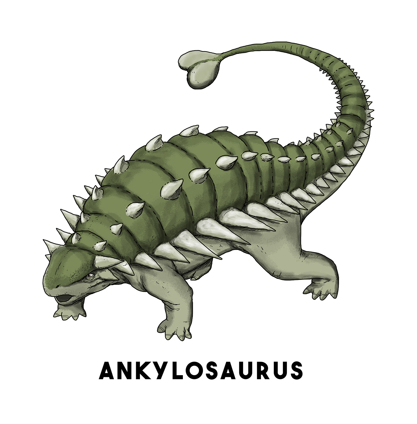 Prehistory Dinosaur dinosaurs animals biology paleontology