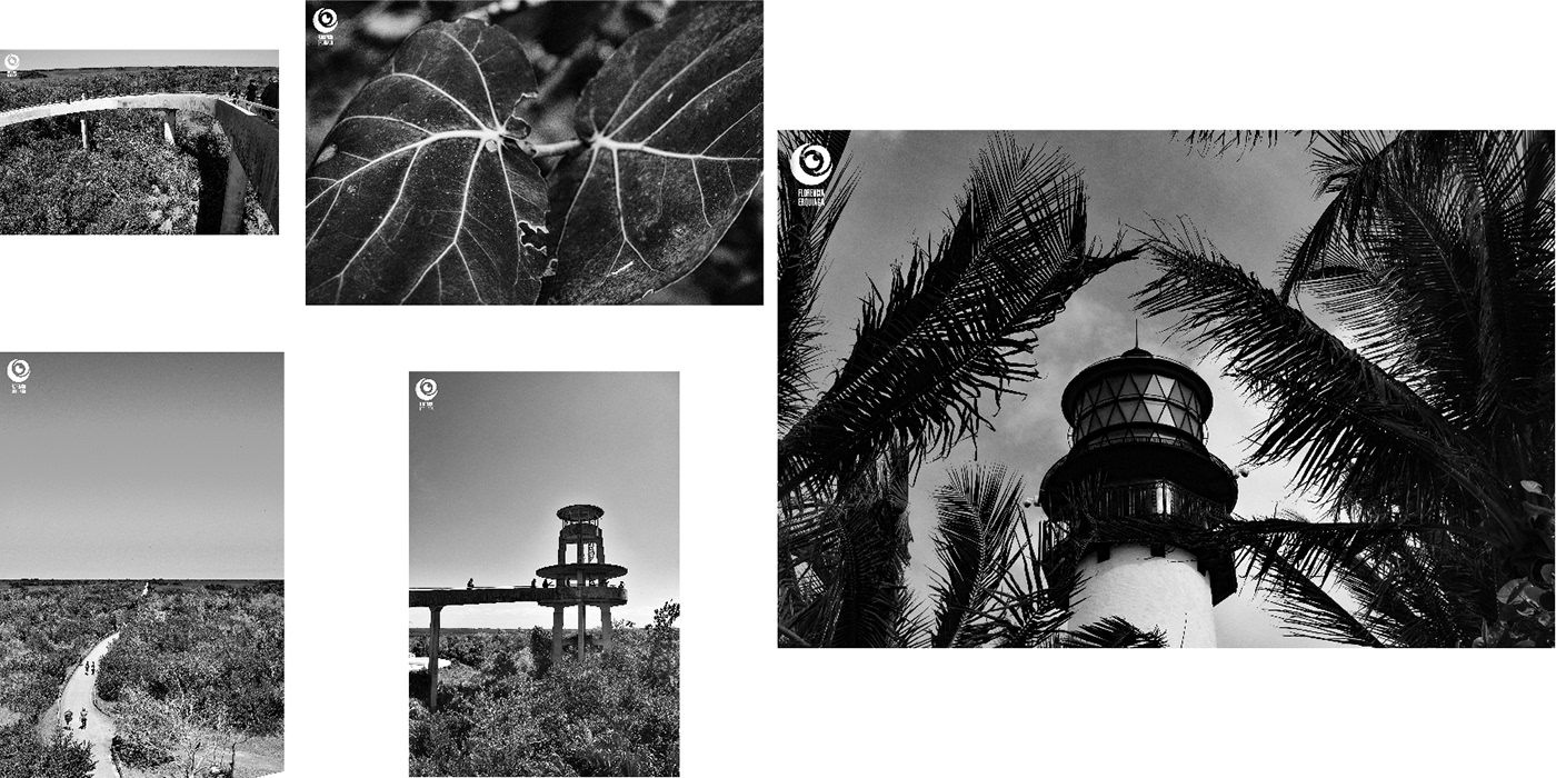 black and white Fotografia monochrome monocromatico Nikon photographer Photography 