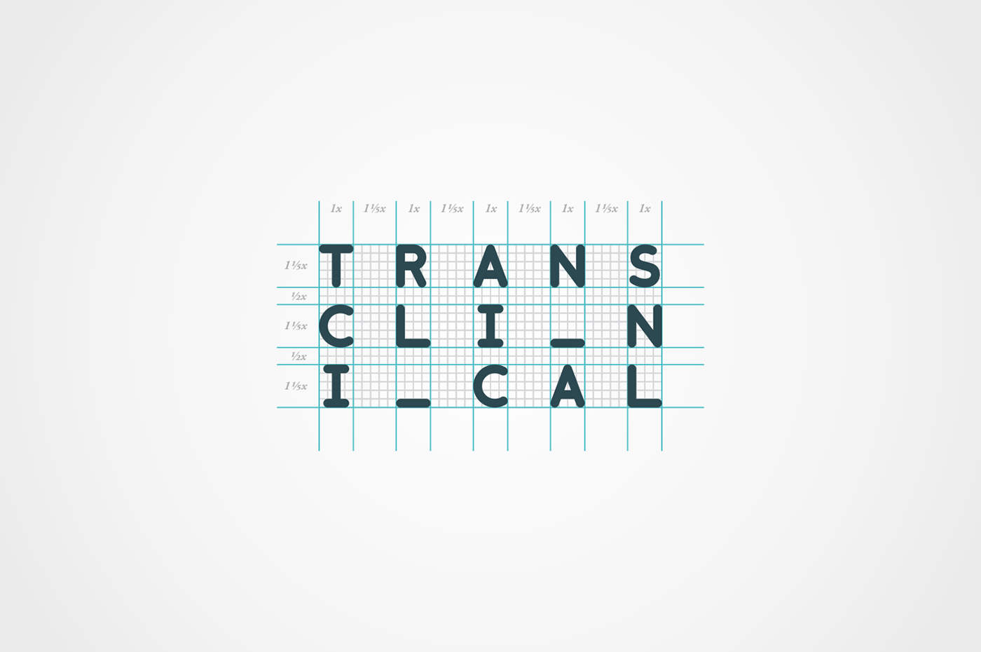 medical Clinical translation services translation polish english portuguese