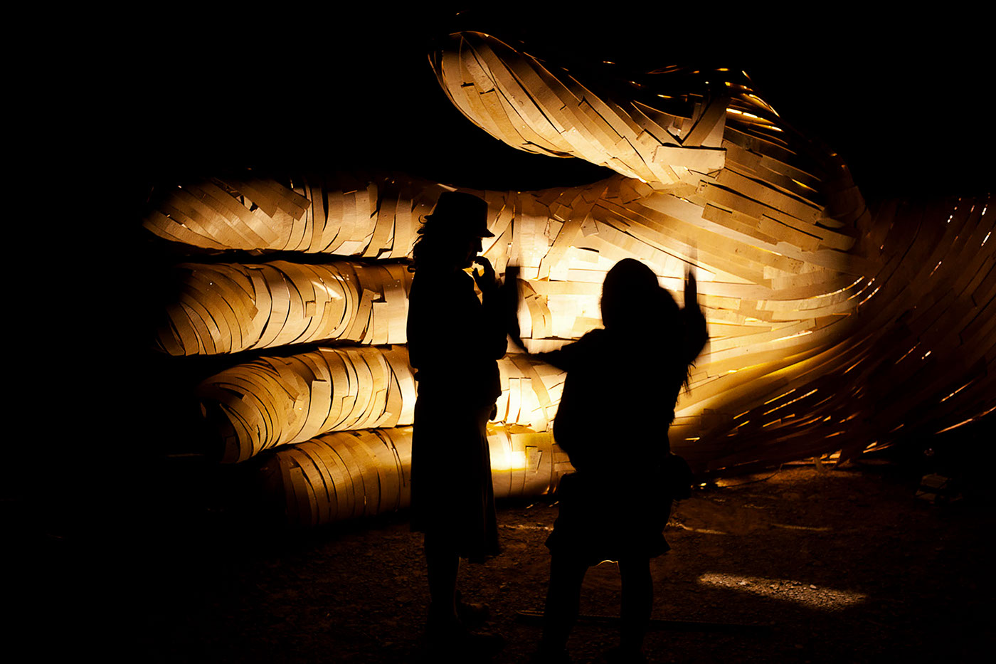 afrika burn Tankwa party Burning Man festival rig setup DPW radical self expression