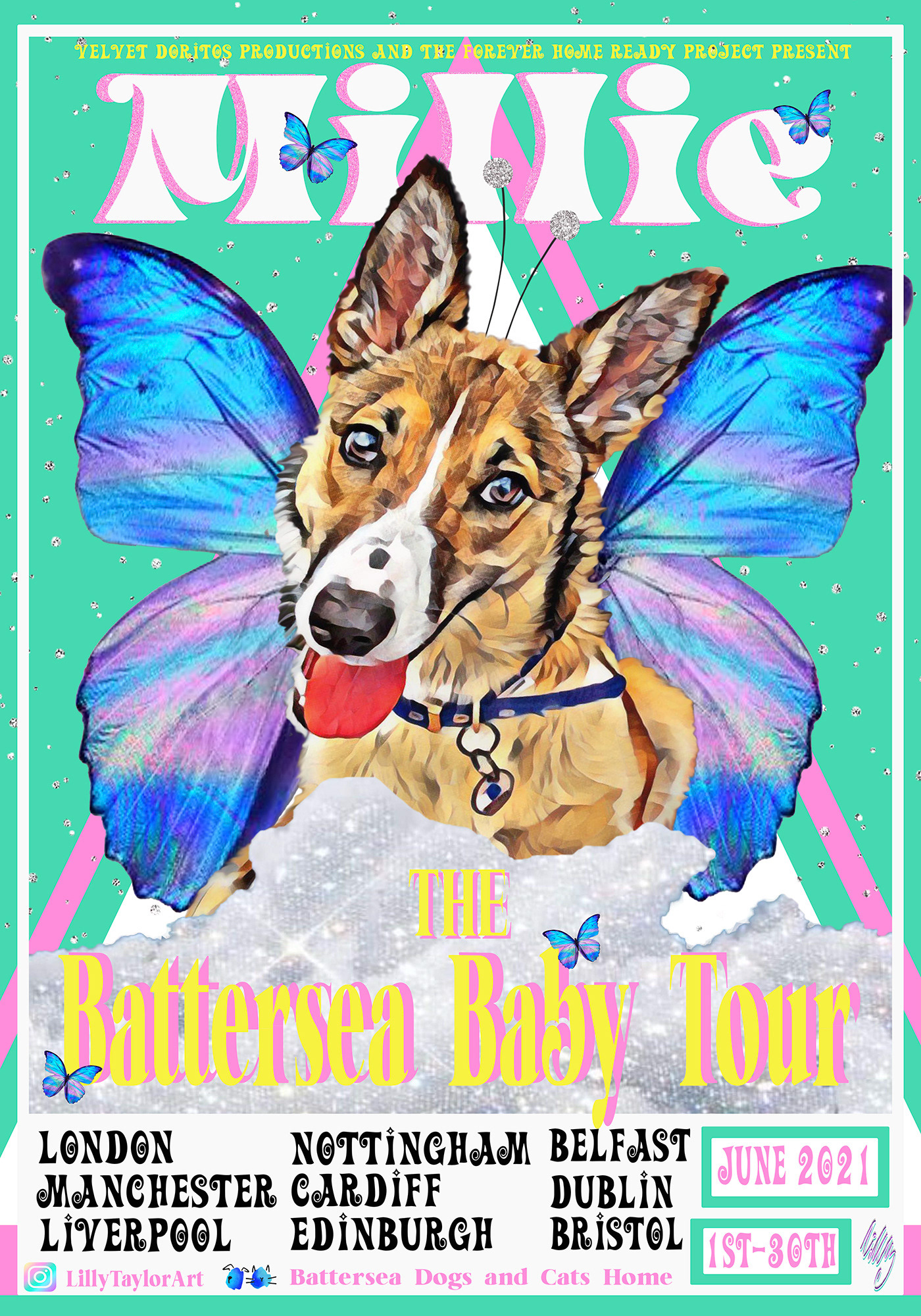 animals artwork custom design Digital Art  dog dogs graphic design  Pet pet art Tour Poster