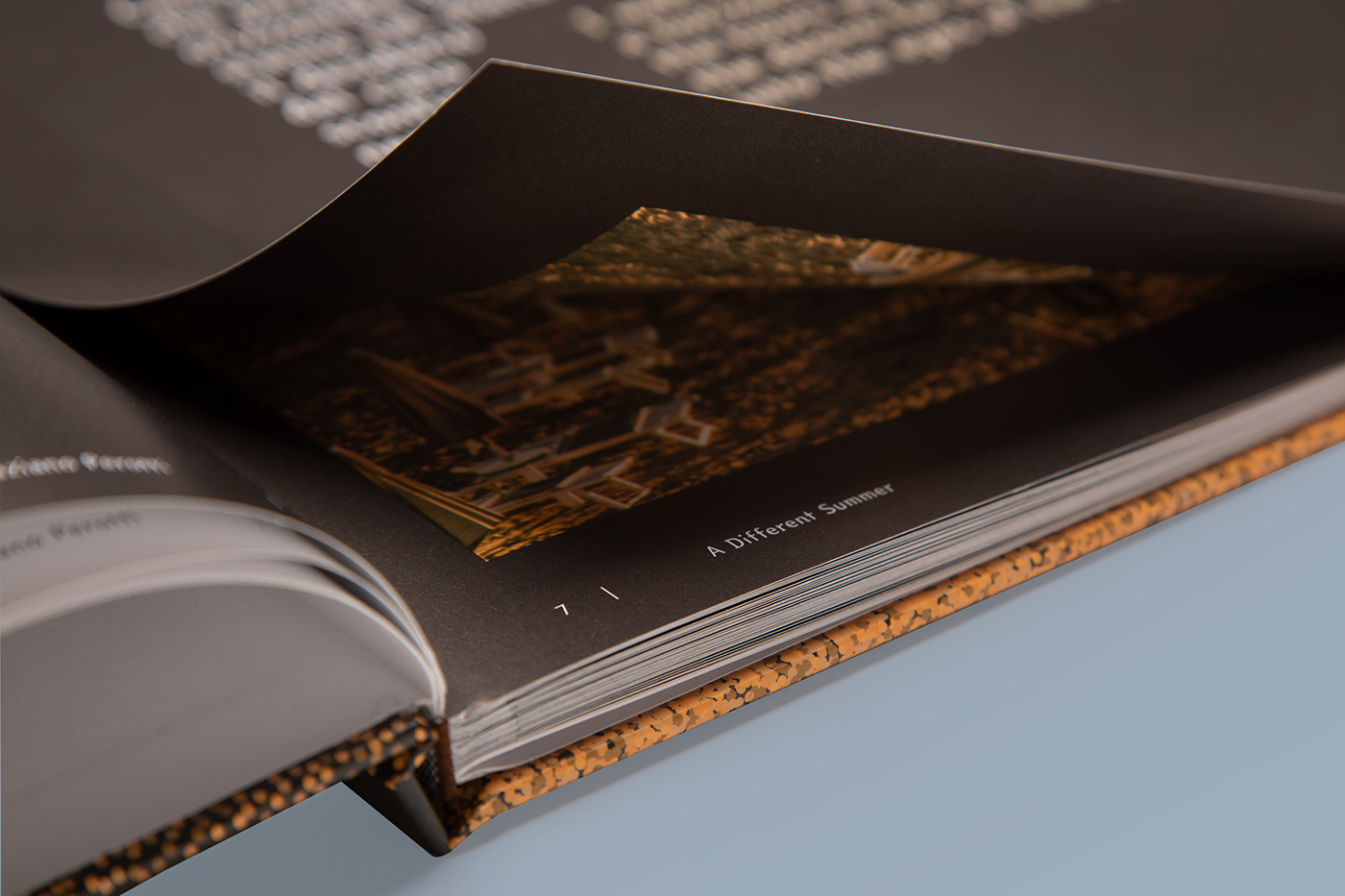 book Bookdesign catolog cover editorial Layout milano photo print storytelling  