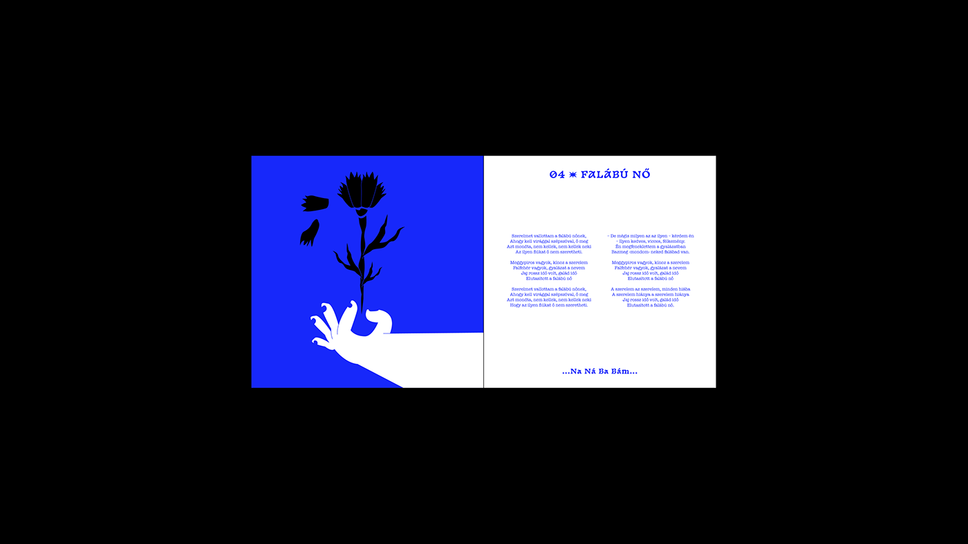 Album design Booklet CD Cover Design csaknekedkislány editorial design  Graphic Designer ILLUSTRATION  Illustrator king blue Vectorillustration