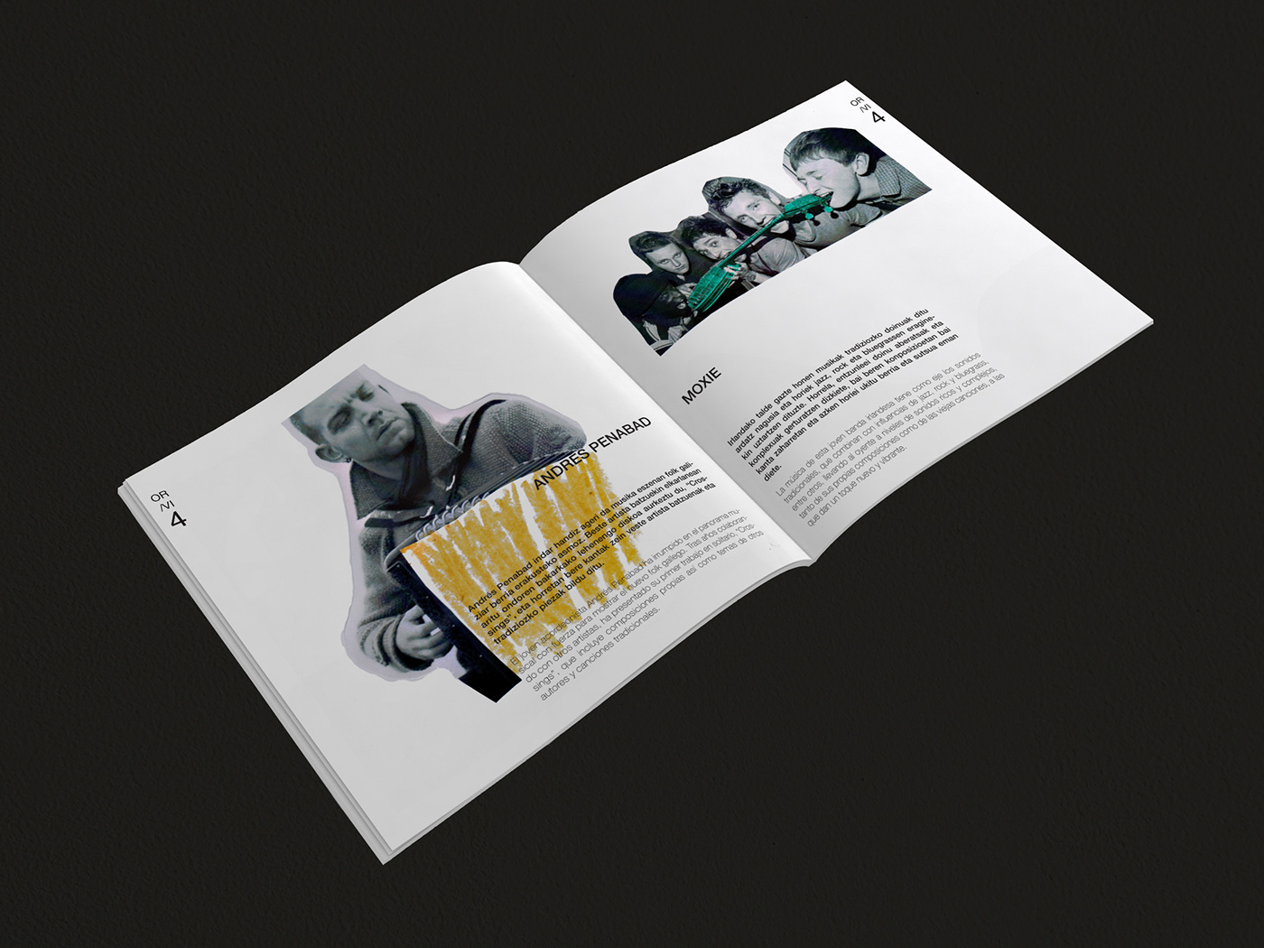 collage Fotografia pintura manley Diseño editorial folleto programa manual manualidad Bellas artes