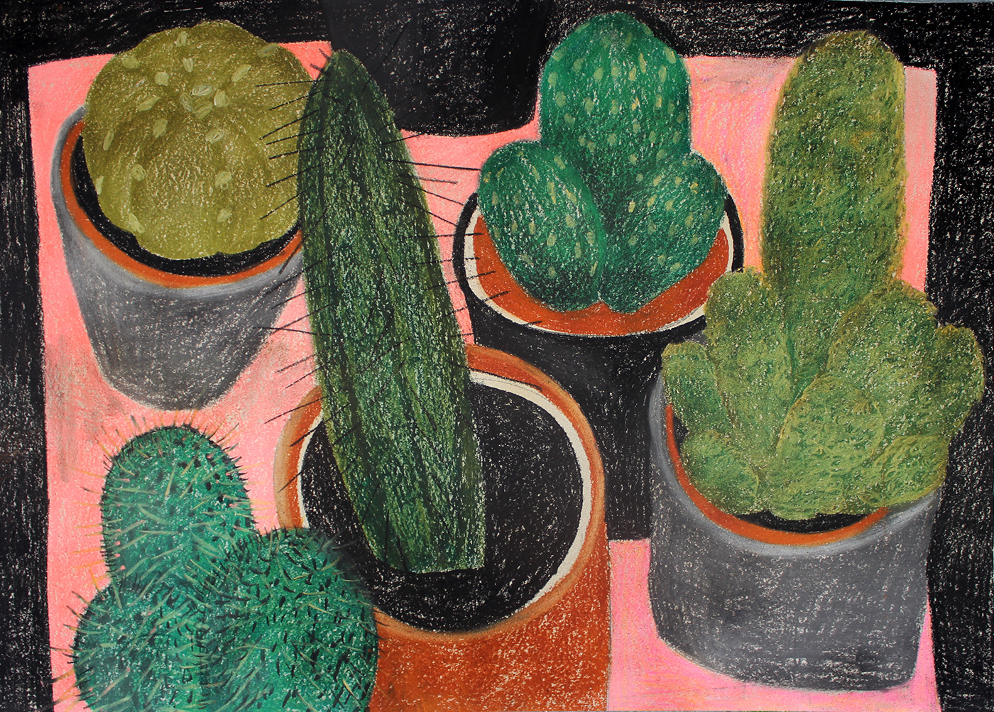 art cactus Drawing  Flora graphic ikea ILLUSTRATION  painting  