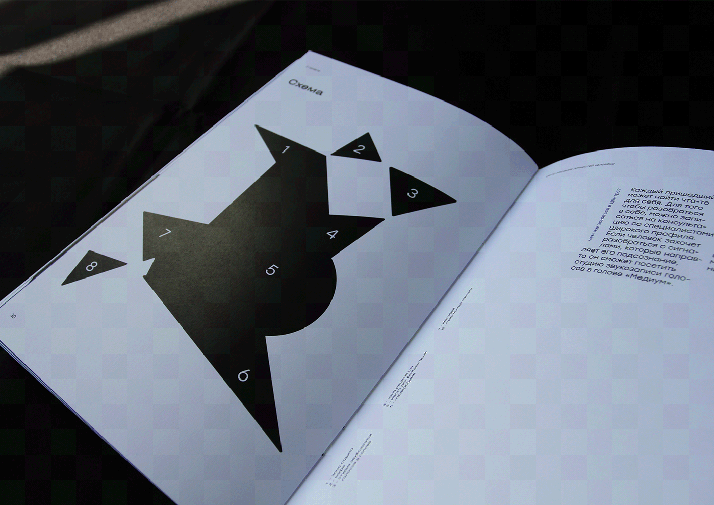 book editorial graphic design  Layout print typography   typography design Zine  графический дизайн зин